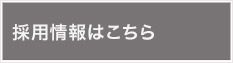 採用情報はこちら